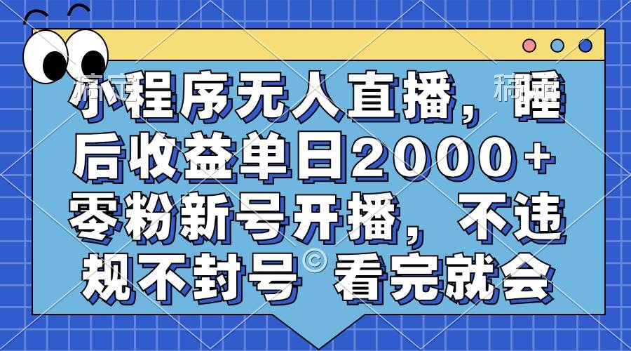 （13251期）小程序无人直播，睡后收益单日2000+ 零粉新号开播，不违规不封号 看完就会 - 副业心选-副业心选