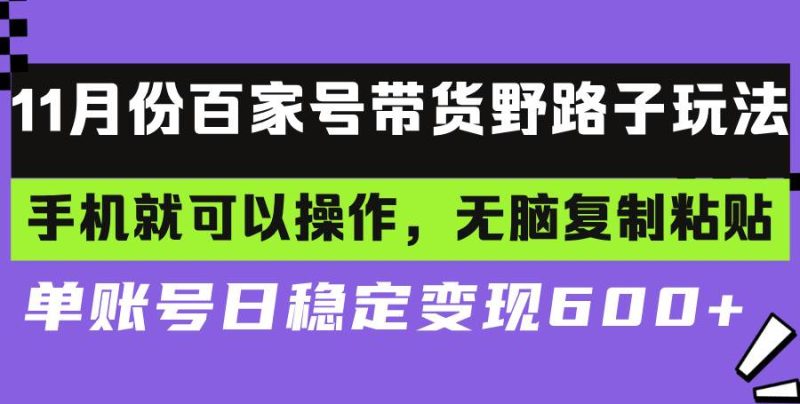（13281期）百家号带货野路子玩法 手机就可以操作，无脑复制粘贴 单账号日稳定变现…-副业心选