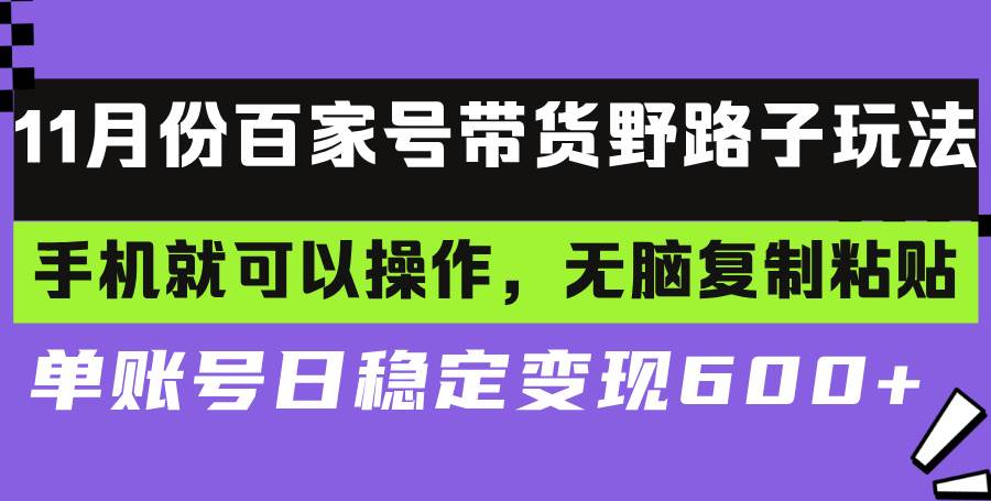 （13281期）百家号带货野路子玩法 手机就可以操作，无脑复制粘贴 单账号日稳定变现… - 副业心选-副业心选