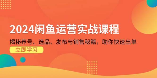 （13290期）2024闲鱼运营实战课程：揭秘养号、选品、发布与销售秘籍，助你快速出单 - 副业心选-副业心选