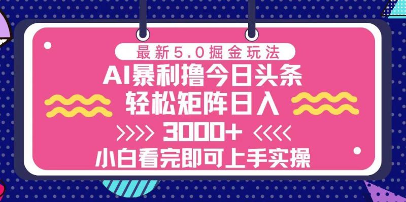 （13398期）今日头条最新5.0掘金玩法，轻松矩阵日入3000+-副业心选
