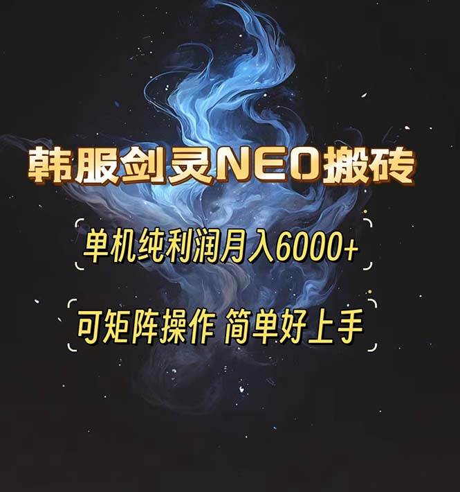 （13435期）韩服剑灵NEO搬砖攻略，单机纯利润月入6000+ 可矩阵操作，简单好上手。-副业心选