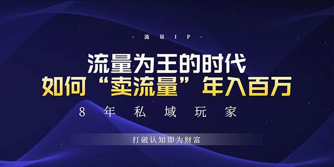 （13433期）未来如何通过“卖流量”年入百万，跨越一切周期绝对蓝海项目-副业心选