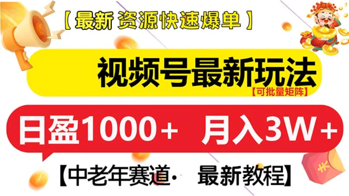 （13530期）视频号最新玩法 中老年赛道 月入3W+ - 副业心选-副业心选