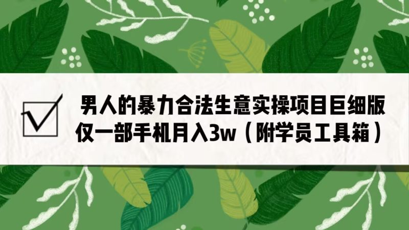 男人的暴力合法生意实操项目巨细版：仅一部手机月入3w（附赠学员工具箱）-副业心选
