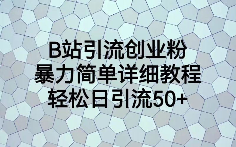 B站引流创业粉，暴力简单详细教程，轻松日引流50+-副业心选
