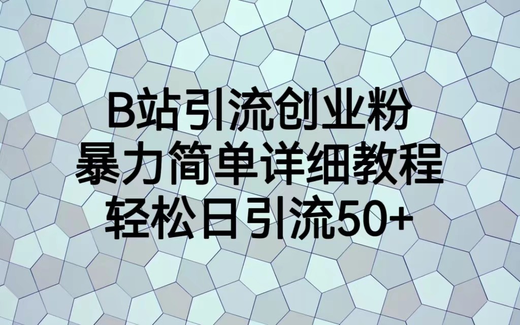 B站引流创业粉，暴力简单详细教程，轻松日引流50+ - 副业心选-副业心选