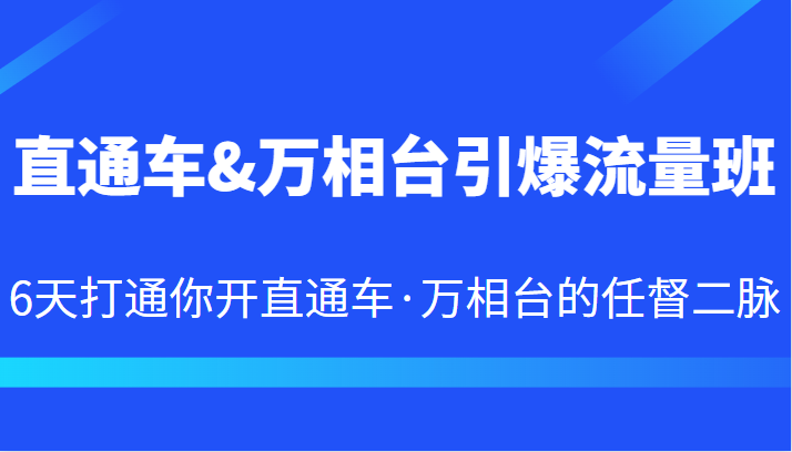 直通车&万相台引爆流量班 6天打通你开直通车·万相台的任督二脉 - 副业心选-副业心选