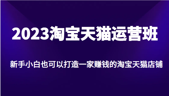 2023淘宝天猫运营班，新手小白也可以打造一家赚钱的淘宝天猫店铺 - 副业心选-副业心选