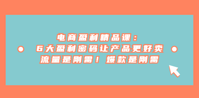 电商盈利精品课：6大盈利 密码让产品更好卖，流量是刚需！爆款是刚需 - 副业心选-副业心选