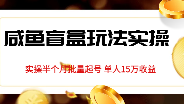 独家首发咸鱼盲盒玩法实操，半个月批量起号单人15万收益揭秘-副业心选