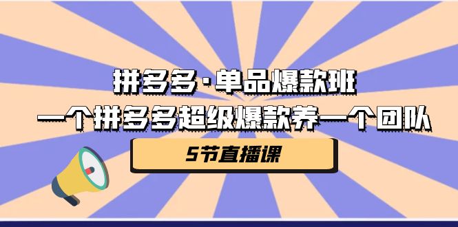 拼多多·单品爆款班，一个拼多多超级爆款养一个团队（5节直播课）-副业心选