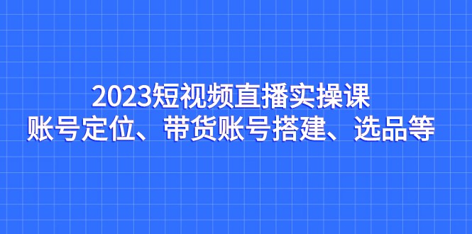 2023短视频直播实操课，账号定位、带货账号搭建、选品等-副业心选