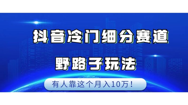 抖音冷门细分赛道野路子玩法，有人靠这个月入10万-副业心选