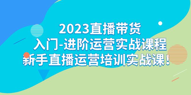 2023直播带货入门-进阶运营实战课程：新手直播运营培训实战课-副业心选