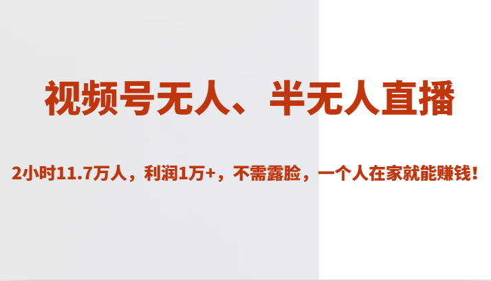视频号无人、半无人直播2小时11.7万人，利润1万+，不需露脸，一个人在家就能赚钱！-副业心选