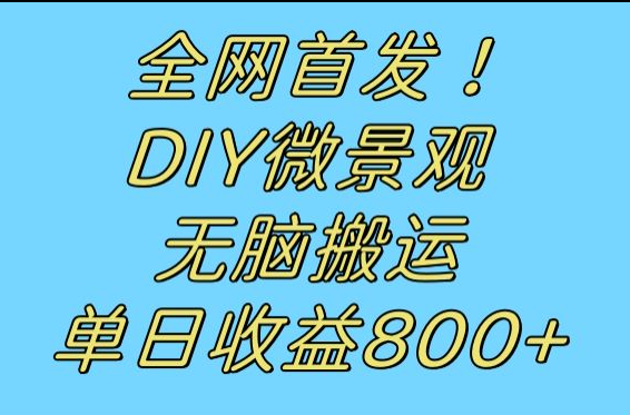 全网首发冷门赛道！DIY微景观，无脑搬运视频，日收益800+-副业心选