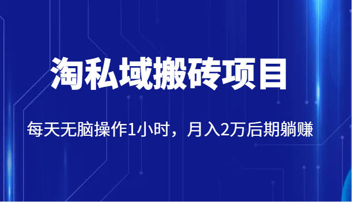 价值2980的淘私域搬砖项目，每天无脑操作1小时，月入2万后期躺赚-副业心选