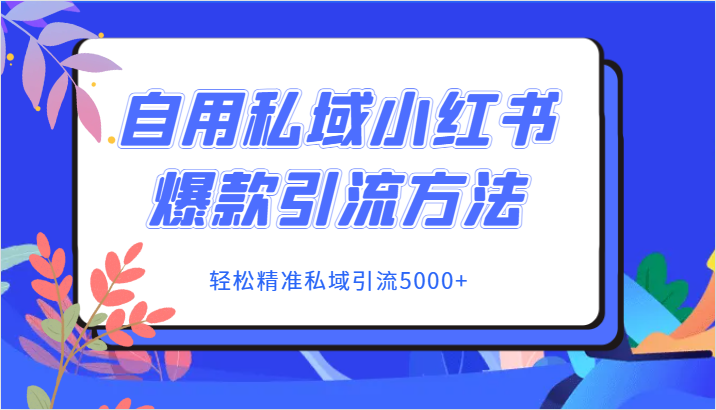 自用私域小红书爆款引流方法，轻松精准私域引流5000+-副业心选
