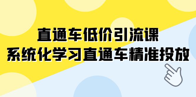 直通车-低价引流课，系统化学习直通车精准投放（14节课）-副业心选