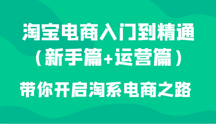 淘宝电商入门到精通（新手篇+运营篇）带你开启淘系电商之路 - 副业心选-副业心选