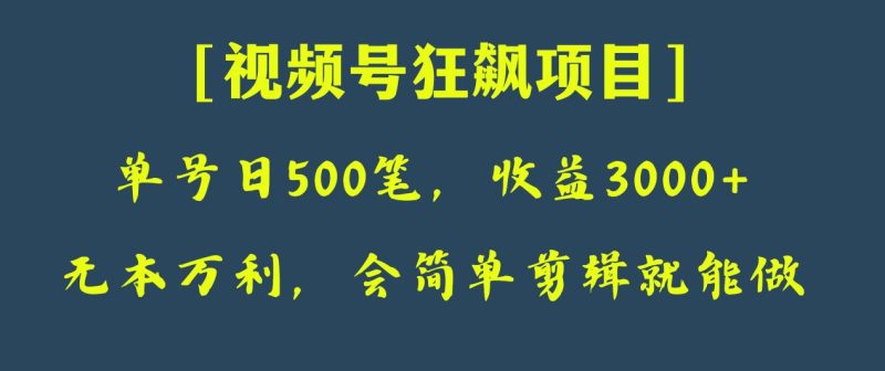 日收款500笔，纯利润3000+，视频号狂飙项目！-副业心选