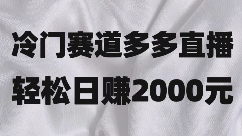 冷门赛道拼多多直播项目，简单念稿子，日收益2000＋-副业心选