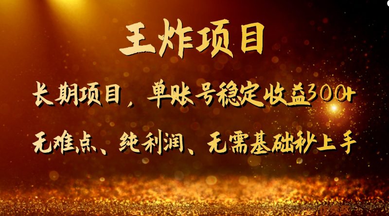 王炸项目！单账号稳定收益300+，适合长期操作的副业兼职。-副业心选