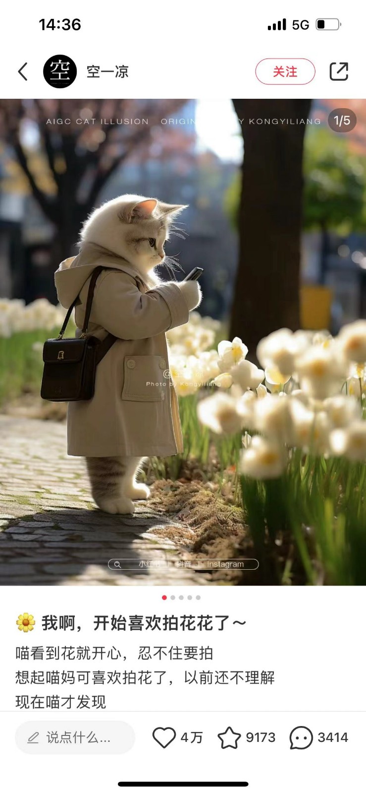 图片[2]-AI猫咪穿搭保姆级教程，起号容易，变现途径多 - 副业心选-副业心选