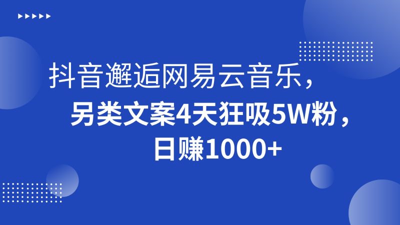 抖音邂逅网易云音乐，另类文案4天狂吸5W粉，日赚1000+-副业心选