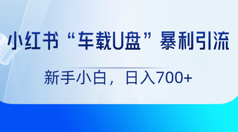 小红书“车载U盘”项目，暴利引流，新手小白轻松日入700+-副业心选