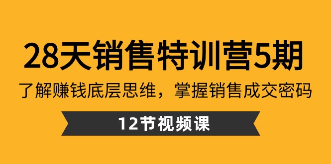 28天销售特训营5期：了解赚钱底层思维，掌握销售成交密码（12节课） - 副业心选-副业心选