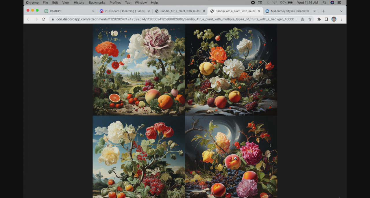 图片[3]-ChatGPT4 和 MidJourney AI 绘画聊天革命性指南教程-33节视频课-中英字幕 - 副业心选-副业心选