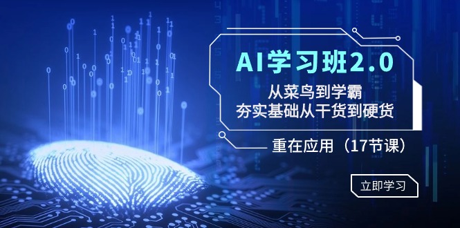 AI学习班2.0：从菜鸟到学霸，夯实基础从干货到硬货，重在应用（17节课） - 副业心选-副业心选
