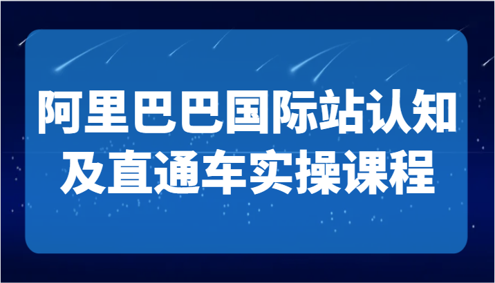 阿里巴巴国际站认知及直通车实操课-国际地产逻辑、国际站运营定位、TOP商家运营思路 - 副业心选-副业心选