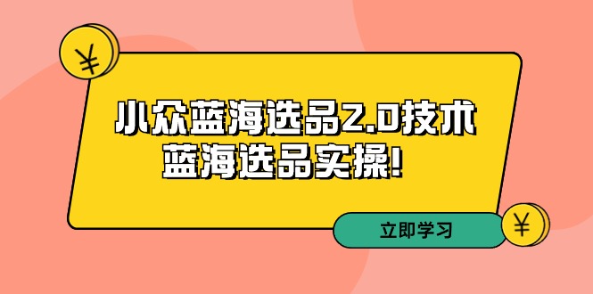 拼多多培训第33期：小众蓝海选品2.0技术-蓝海选品实操-副业心选