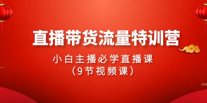 2024直播带货流量特训营，小白主播必学直播课（9节视频课） - 副业心选-副业心选