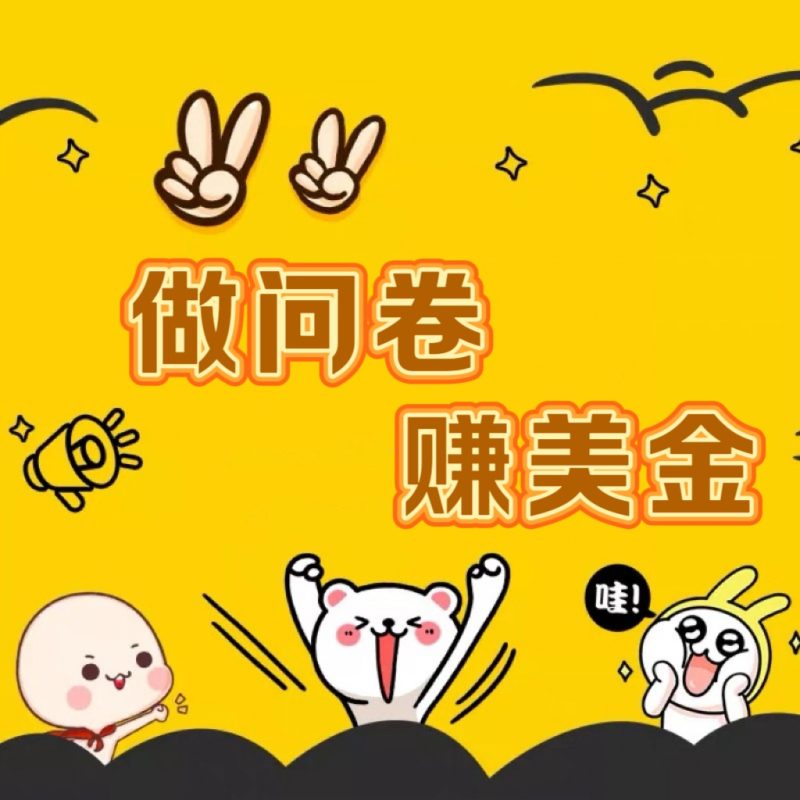 国外问卷调查小白家也可批量操作（口子查站点查渠道查）真正的长久稳定项目 日入1500+-副业心选