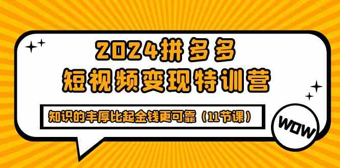 2024拼多多短视频变现特训营，知识的丰厚比起金钱更可靠（11节课） - 副业心选-副业心选