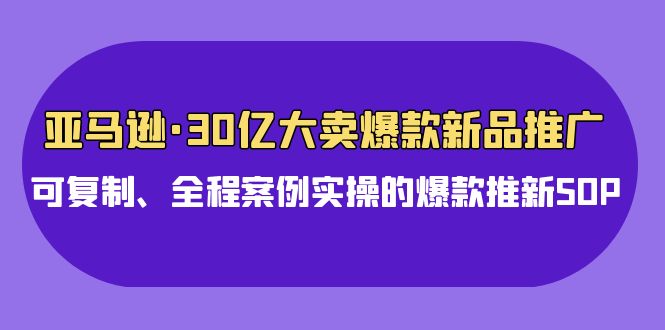 亚马逊30亿大卖爆款新品推广，可复制、全程案例实操的爆款推新SOP-副业心选