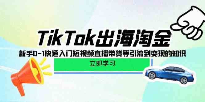 TikTok出海淘金，新手0-1快速入门短视频直播带货等引流到变现的知识 - 副业心选-副业心选