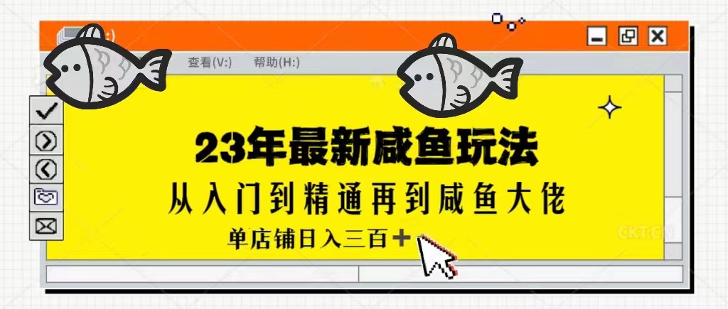 2023最新闲鱼实战课，从入门到精通再到闲鱼大佬，单号日入300+（更新） - 副业心选-副业心选