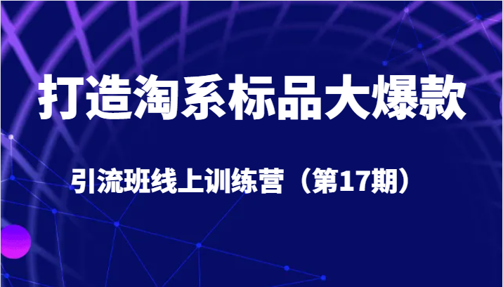 打造淘系标品大爆款引流班线上训练营（第17期）5天直播授课+1个月答疑-副业心选