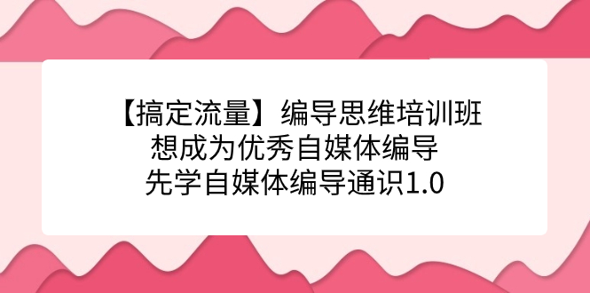 【搞定流量】编导思维培训班，想成为优秀自媒体编导先学自媒体编导通识1.0 - 副业心选-副业心选