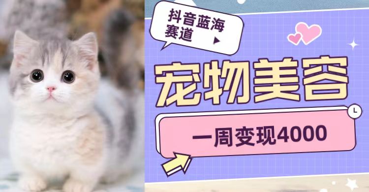 抖音蓝海赛道，宠物美容，一周变现4000-副业心选