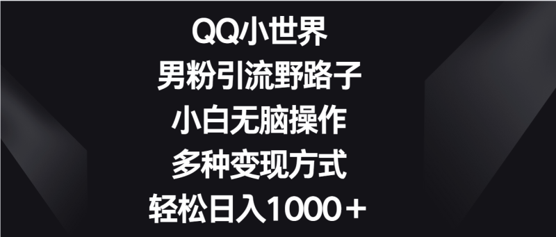 QQ小世界男粉引流野路子，小白无脑操作，多种变现方式轻松日入1000＋-副业心选