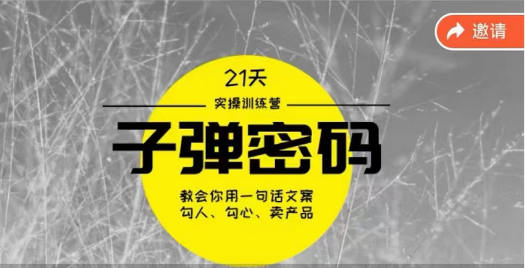 《子弹密码训练营》用一句话文案勾人勾心卖产品，21天学到顶尖文案大师策略和技巧 - 副业心选-副业心选