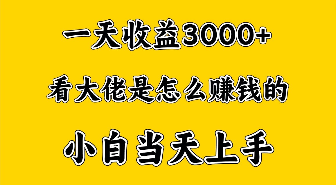 一天赚3000多，大佬是这样赚到钱的，小白当天上手，穷人翻身项目 - 副业心选-副业心选