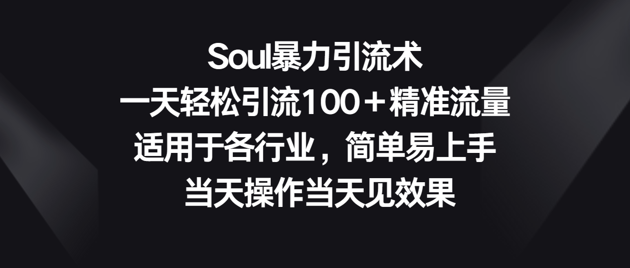 Soul暴力引流术，一天轻松引流100＋精准流量，适用于各行业，简单易上手！ - 副业心选-副业心选