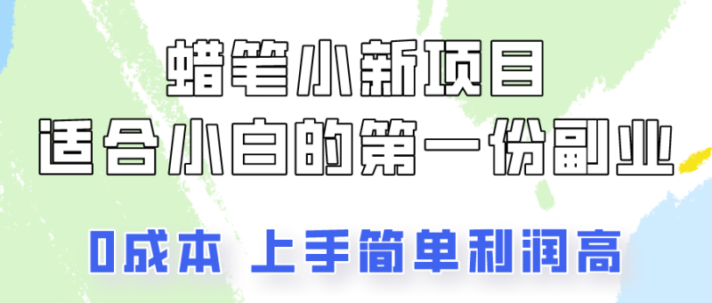 蜡笔小新项目拆解，0投入，0成本，小白一个月也能多赚3000+-副业心选